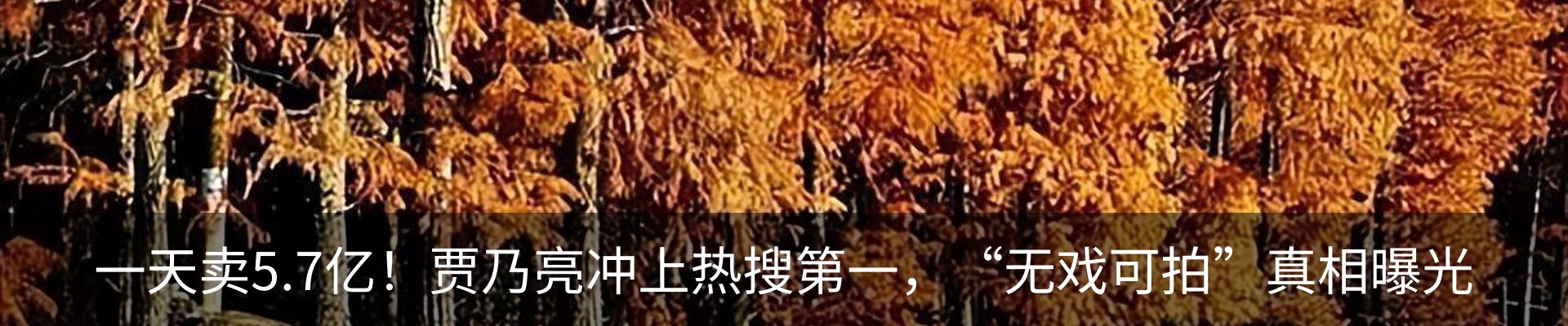热点资讯