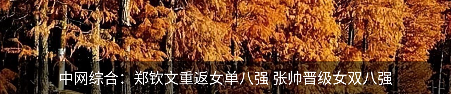 热点资讯