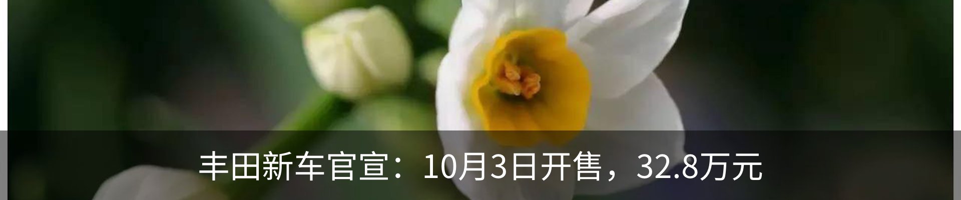 热点资讯
