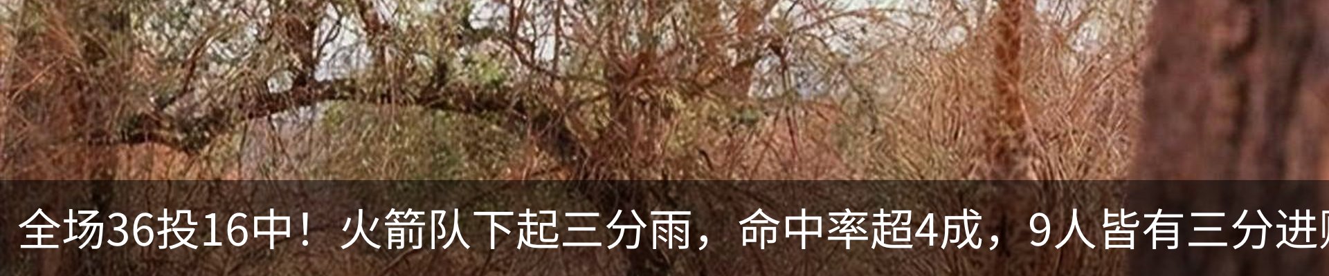 热点资讯