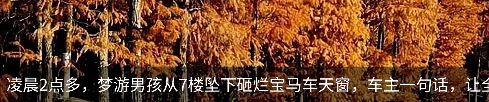 热点资讯