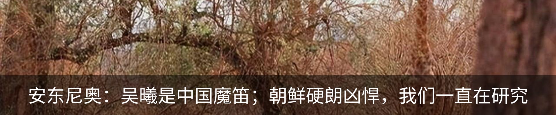 热点资讯