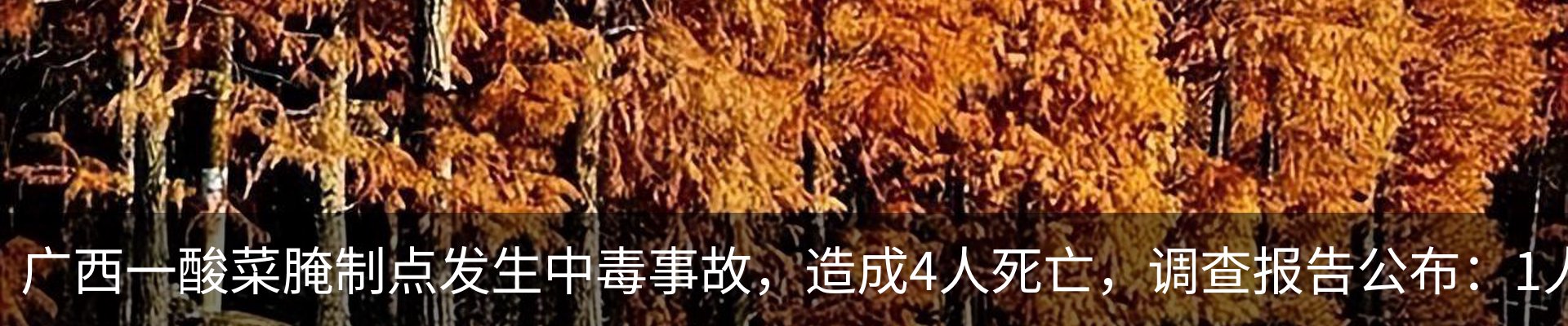 热点资讯