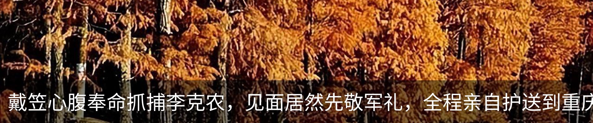 热点资讯