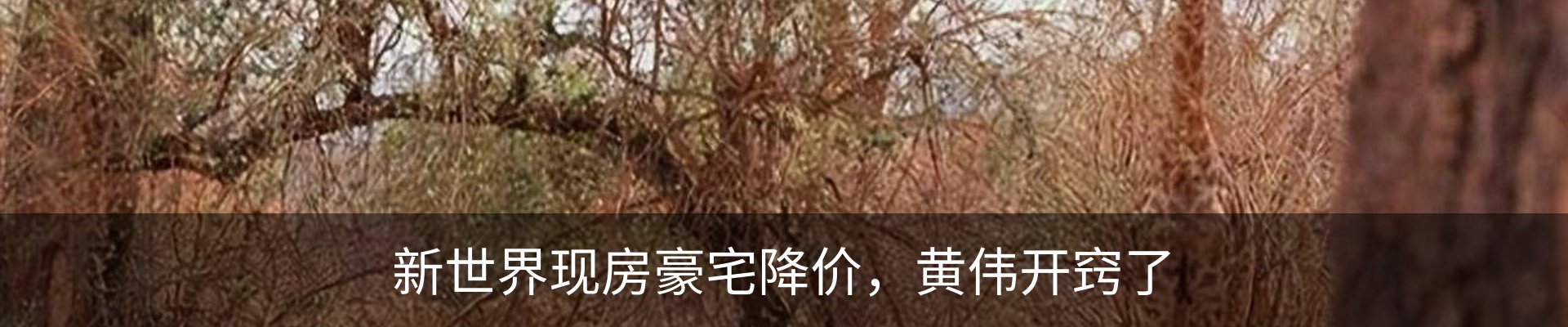 热点资讯