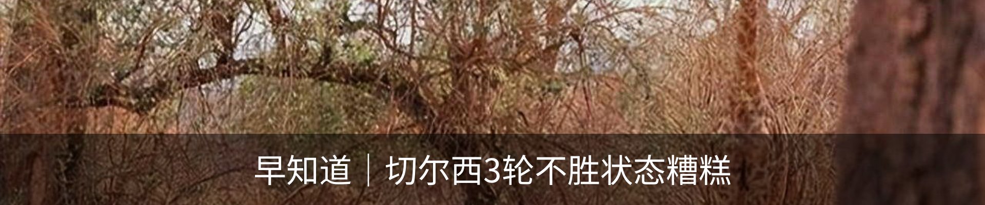 热点资讯
