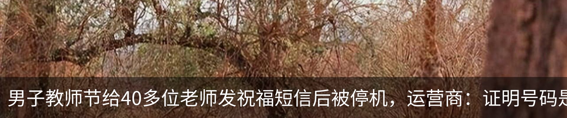 热点资讯