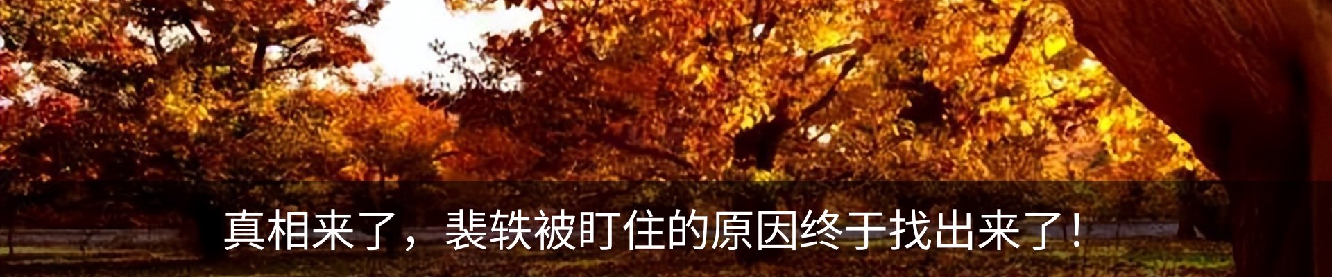 热点资讯