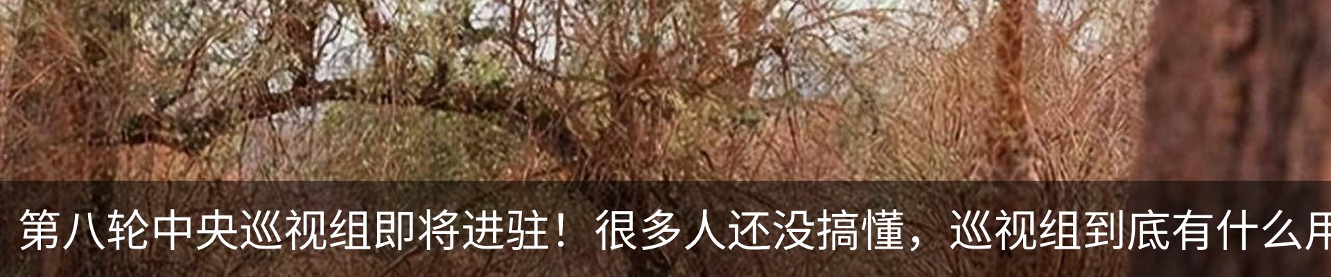 热点资讯