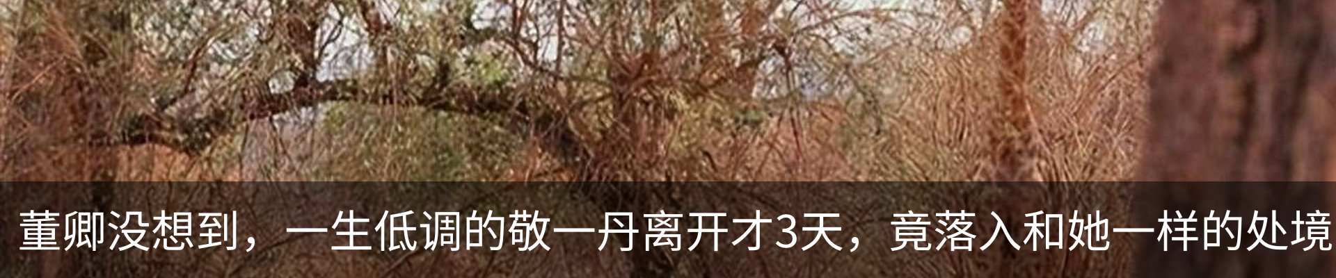 热点资讯