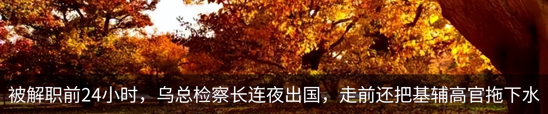 热点资讯