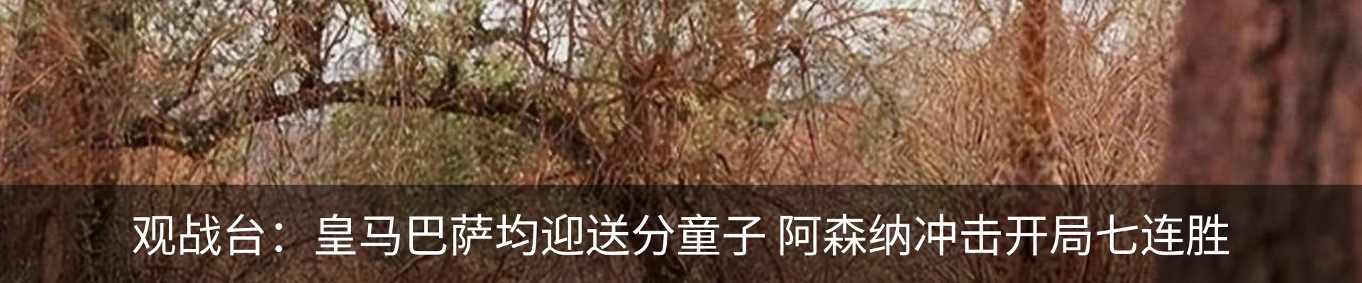 热点资讯