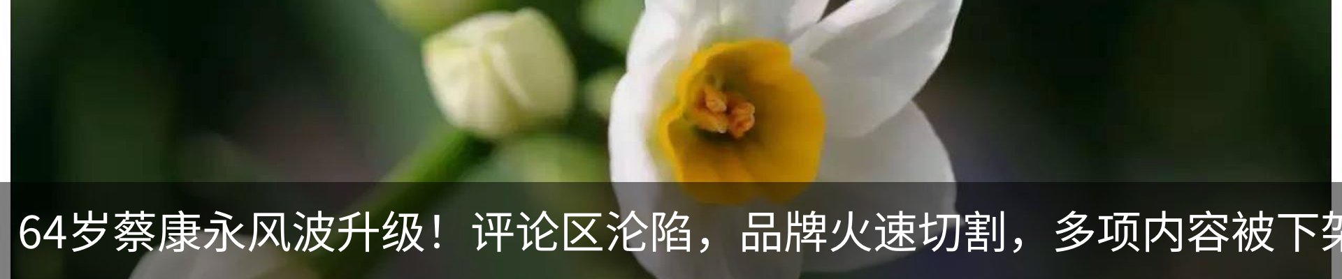 热点资讯